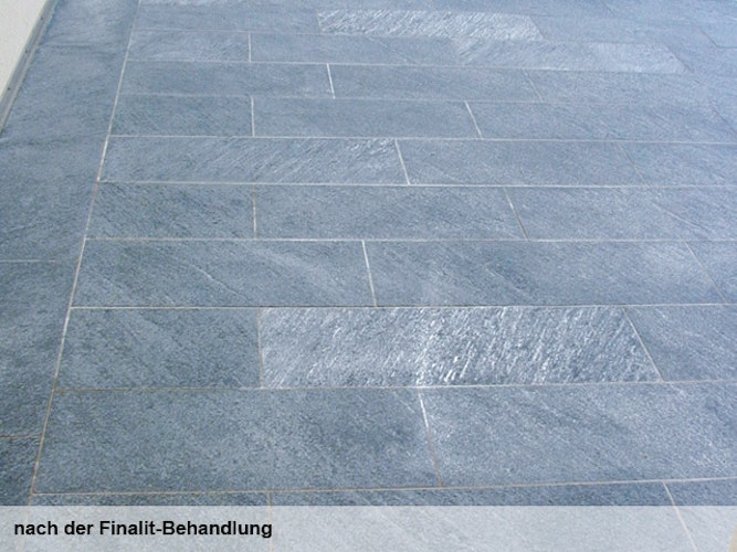 Finalit Nr. 11 Fett- und Wachsentferner (neutral)