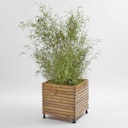 Vorschaubild BambusBASIS Pflanzkübel quadratisch 