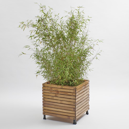 BambusBASIS Pflanzkübel quadratisch 