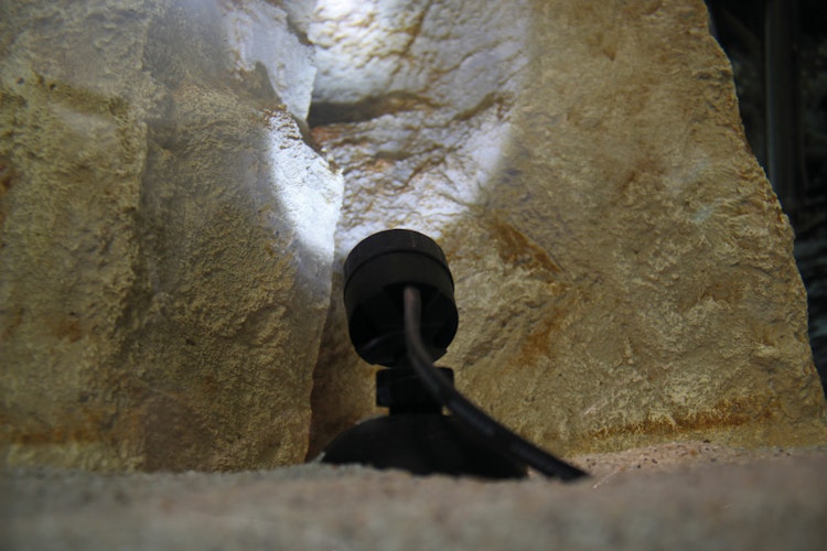 Pontec Teich- und Gartenbeleuchtung PondoStar LED Set 6