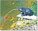 Vorschaubild Heissner Teichfigur "Frosch" mit Teichpumpe 250 l/h, Solar