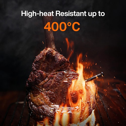 Typhur Grillthermometer SYNC Dual - 2 Thermometer