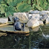 Ubbink Wasserspeier FroschZubehörbild