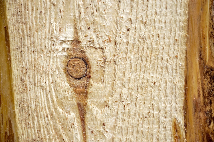 T&J JÜTLAND Sichtschutzzaun Lärche 90 x 180 cm