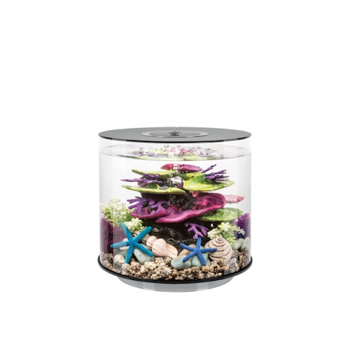 BiOrb Aquarium TUBE 15 MCR