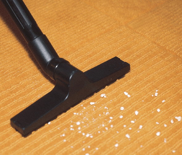 Oase Teichsauger PondoVac Classic