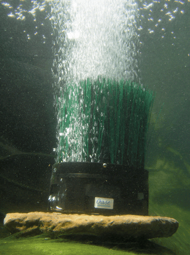 Oase Teichbelüfter OxyTex 1000