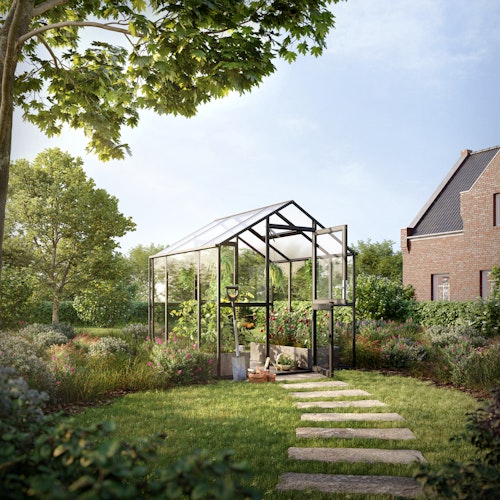 KGT Gewächshaus Aptasia Typ III-s