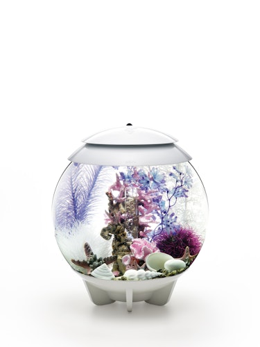 biOrb Decor Set 30L Pink Ocean (48444)