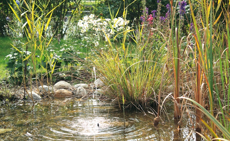 Pontec Solar-Wasserspielset PondoSolar 150