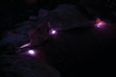 Vorschaubild Pontec Teich- und Gartenbeleuchtung PondoStar LED RGBW Set 3