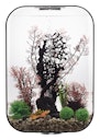 Vorschaubild BiOrb Aquarium LIFE 60 MCR