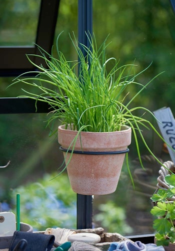 Juliana Pflanzentopfhalter integrierbar im Profilsystem