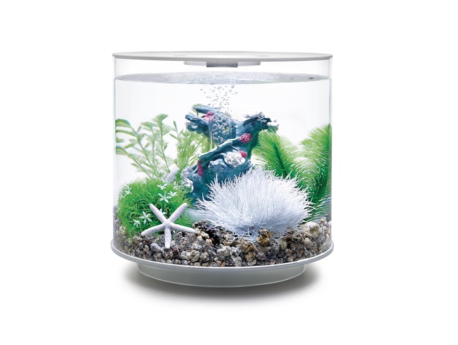 biOrb Decor Set 15L Flower Garden (48443)