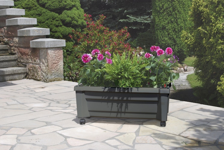 KHW Calypso Pflanzkasten auf Rollen mit Bewässerungssystem + modularem Spalier