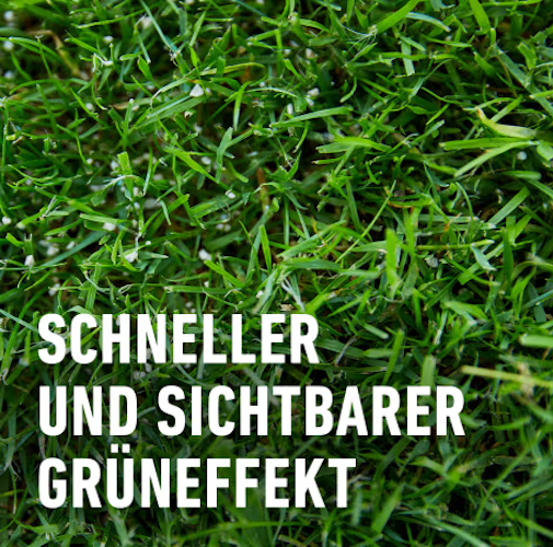 COMPO Rasen-Langzeitdünger 20 kg für 800 m²