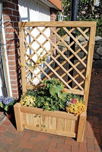 T&J STOCKHOLM Rankgitter Lärche B 104 x H 150 cm