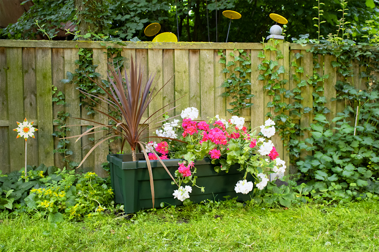 KHW Calypso Pflanzkasten auf Rollen mit Bewässerungssystem
