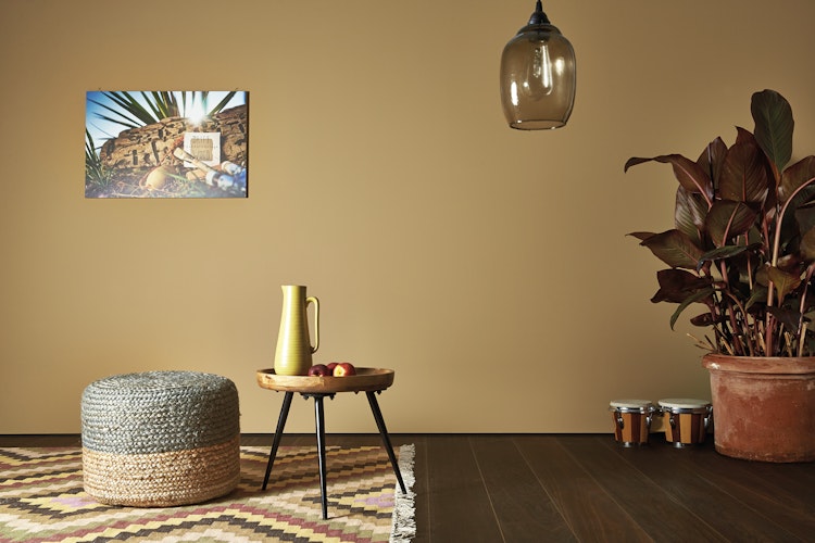 colourcourage® Premium Wandfarbe matt Drift Wood