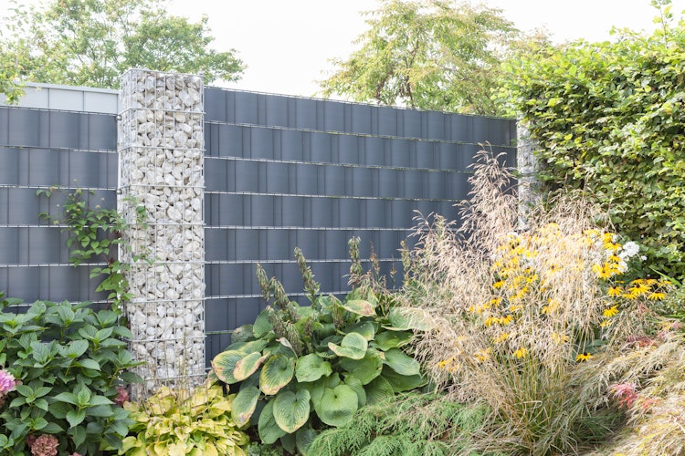 dz Gabionensäule RUBIN 420 x 270 mm - Verschieden Höhen