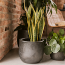 Vorschaubild Vosteen Design Blumentopf / Pflanzgefäß Terrakotta schwarz ø 28 cm x H 24 cm