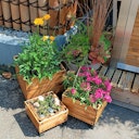 Vorschaubild BambusBASIS Pflanzkübel - quadratisch, 3er-Set (S, M, L)