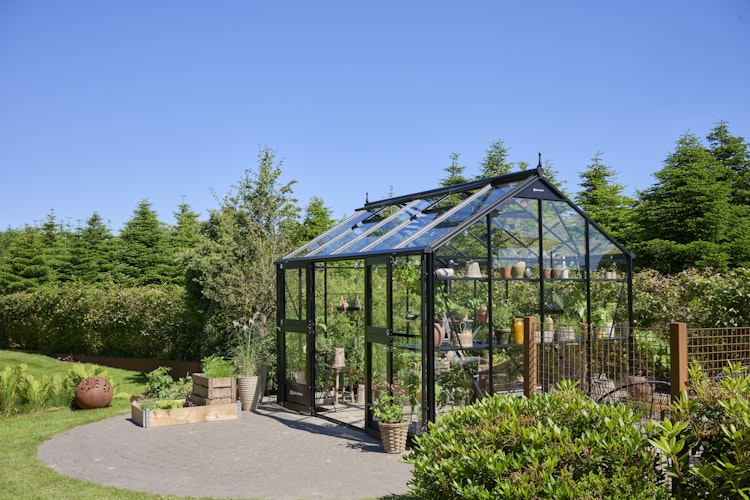 Juliana Gewächshaus Jubii 10,9 m² inkl. gratis Fundamentrahmen im Wert von 449 €