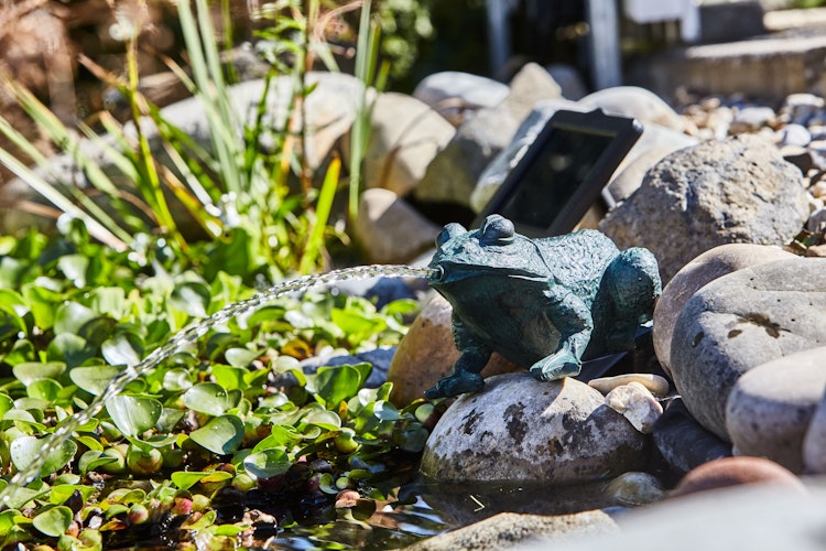 Heissner Teichfigur "Frosch" mit Teichpumpe 250 l/h, Solar
