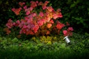 Vorschaubild Garden Lights Strahler Arigo