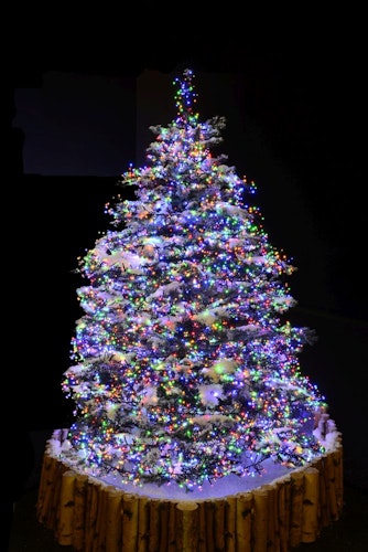 Konstsmide Weihnachtsbeleuchtung  Micro LED Büschellichterkette 960 bunte Dioden