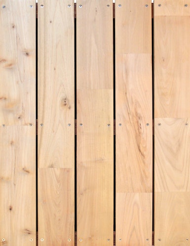 FelixWood®  Terrassendiele Robinie Glatt/Glatt 22 x 120 mm