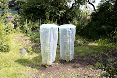 KHW Tomatenhut 2er SetZubehörbild