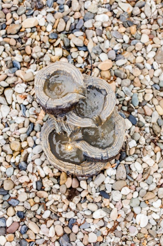 Heissner Gartenbrunnen "Baumstümpfe" (016585-00)