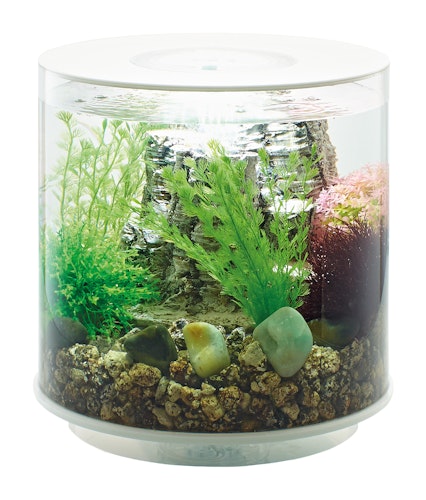 BiOrb Aquarium TUBE 15 MCR