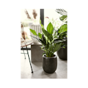 Vorschaubild Vosteen Design Blumentopf / Pflanzgefäß Terrakotta schwarz ø 20 cm x H 22 cm