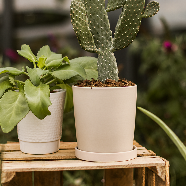 Wikholm form Design Pflanzgefäß / Blumentopf 2er Set Keramik creme ⌀ 14 x H 15 cm, 17 x H 18 cm inkl. Untersetzer