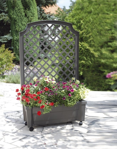 KHW Calypso Pflanzkasten auf Rollen mit Bewässerungssystem + Spalier