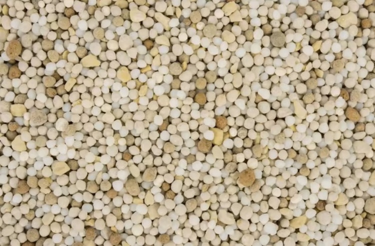 COMPO Koniferen Langzeit-Dünger 850 g