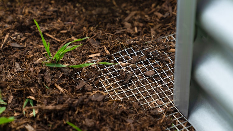 Vitavia Mäusegitter Wühlmausgitter Draneo - Nagerschutz für Hoch- und Innenbeete 100 x 100 cm