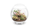 Vorschaubild BiOrb Terrarium AIR 60