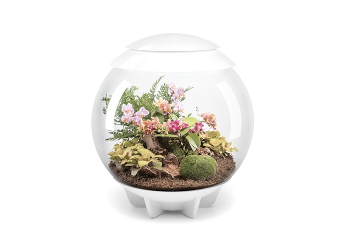 BiOrb Terrarium AIR 60