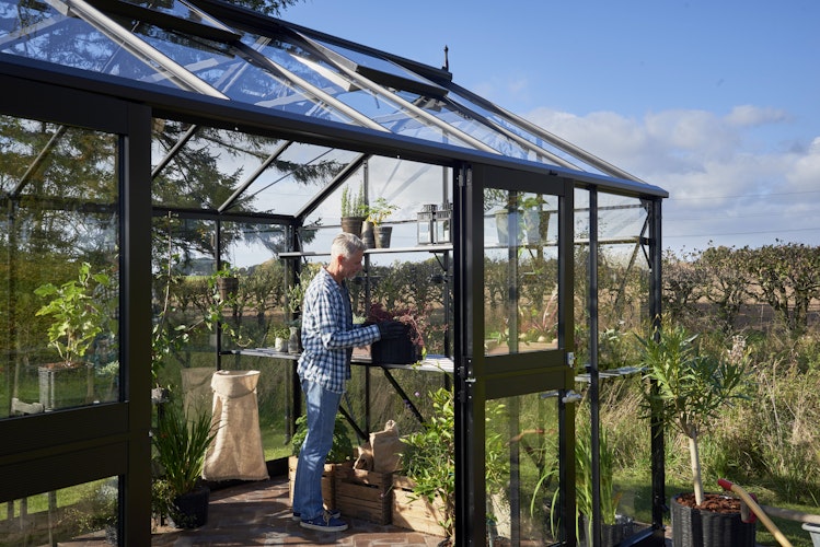 Juliana Gewächshaus Jubii 15,1 m² inkl. gratis Fundamentrahmen im Wert von 539 €