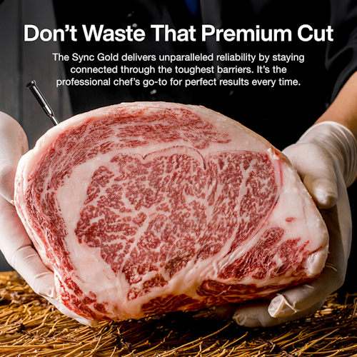 Typhur Grillthermometer SYNC Gold Quad - 4 Thermometer