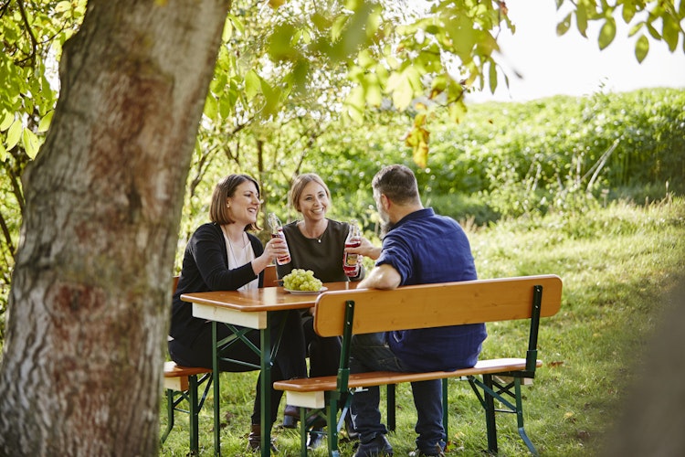 GWW Kurze Bierzeltgarnitur mit Lehne 120 x 60 cm, Stahl Schwarz / Fichte Natur