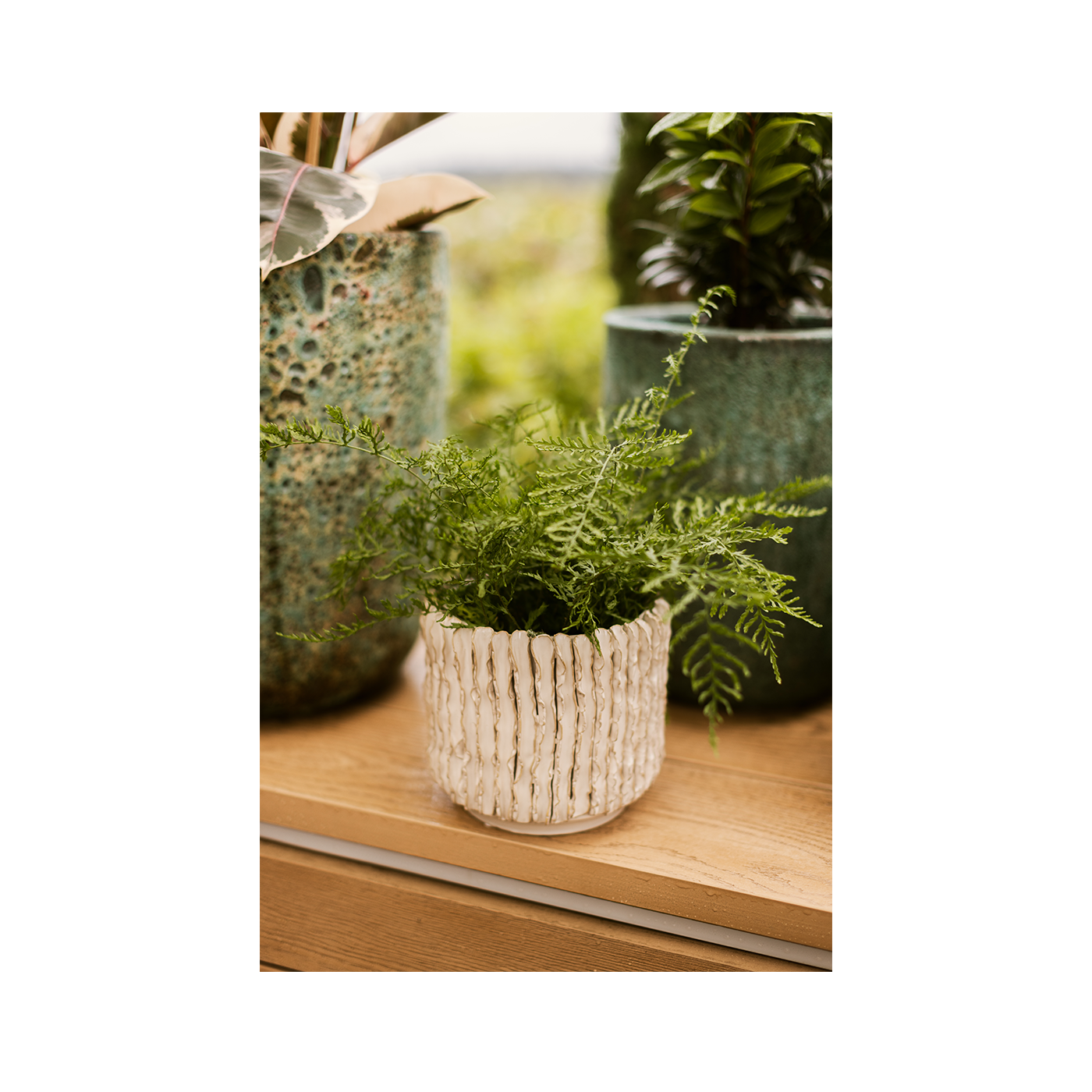 Wikholm form Design Pflanzgefäß / Blumentopf Terrakotta creme ⌀ 15 x H 17 cm