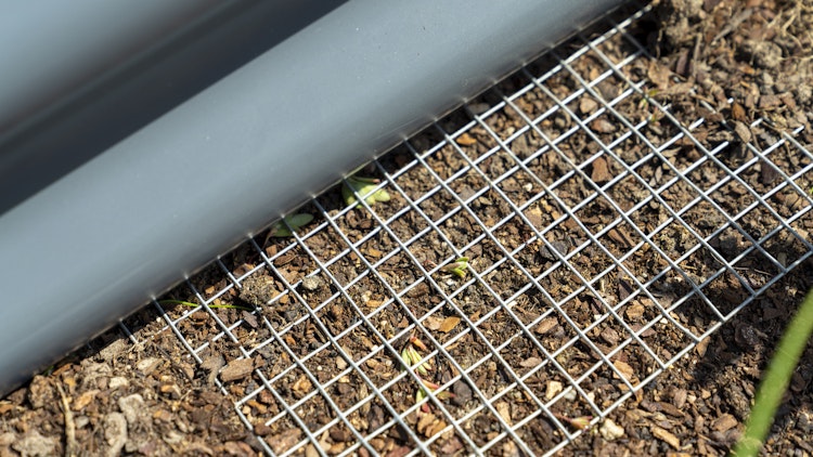 Vitavia Mäusegitter Wühlmausgitter Draneo - Nagerschutz für Hoch- und Innenbeete 100 x 100 cm