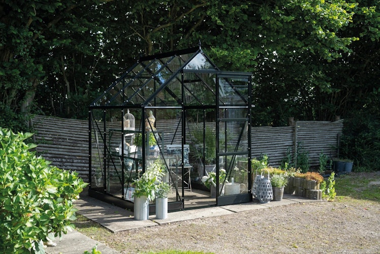 Halls Gewächshaus Icon 6 - 2,5 m² / 3,7 m² / 4,9 m² / 6,1 m²