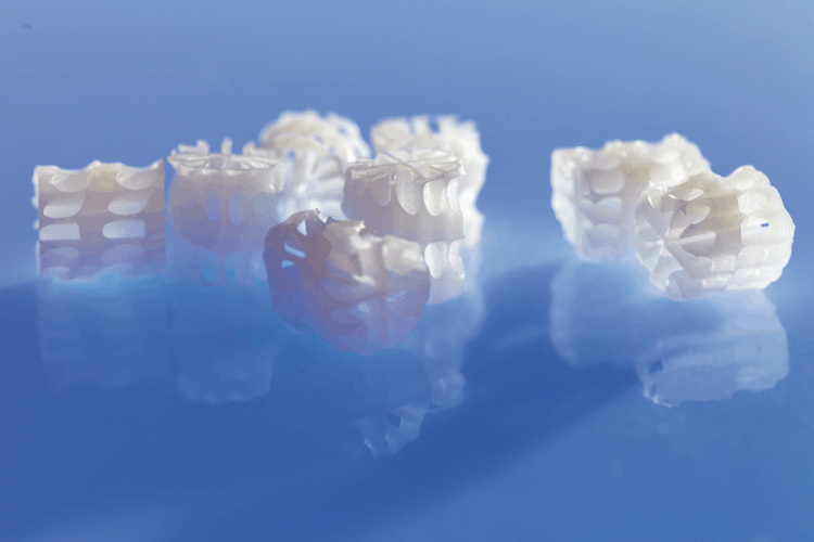 Oase ProfiClear Premium Moving Bed Modul L