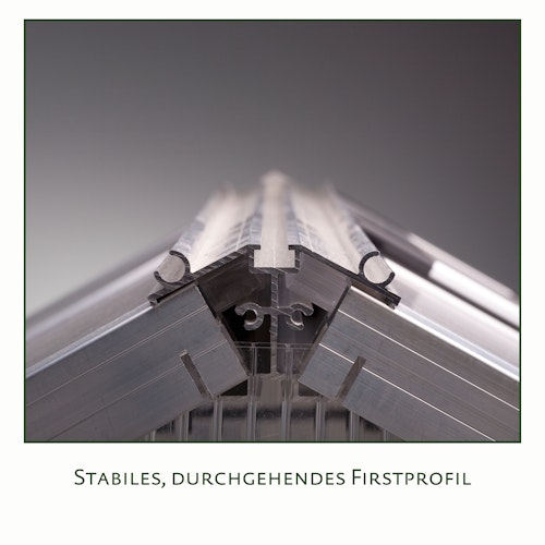 KGT Gewächshaus Dahlie Typ IV