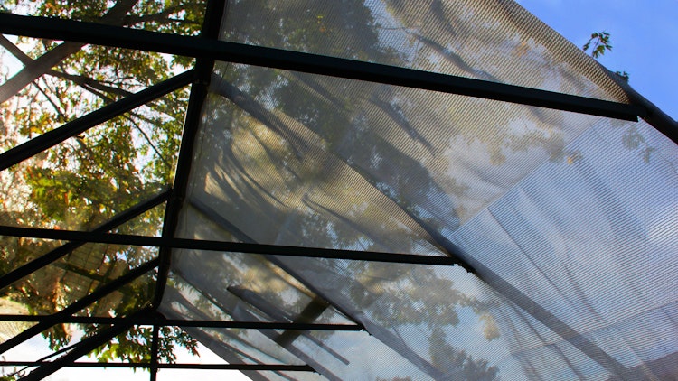 Vitavia Schattiergewebe weiß 183 cm x 259 cm 